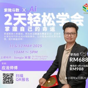 紫微斗数 x AI 实战课
